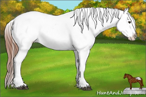 Horse Color: White Spotted Liver Chestnut Sabino Splash Blanket 