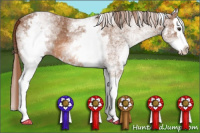 Horse Color:White Spotted Chestnut Sabino Splash 