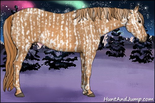Horse Color: Brown Splash Snowcap Rabicano  Brindle