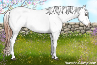 Horse Color:Grullo Roan Tobiano Blanket 