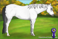 Horse Color:White Spotted Black Frame 