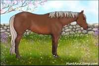 Horse Color:Silver Bay 