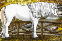 Horse Color:Buckskin Roan Varnish 