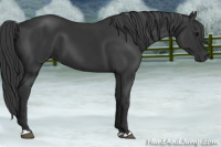 Horse Color:Brown 