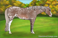 Horse Color:Silver Bay Ice Sabino