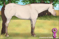Horse Color:Amber Champagne Dun 