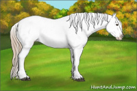 Horse Color:Red Roan Varnish 