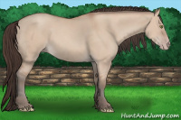 Horse Color:Amber Champagne Dun 
