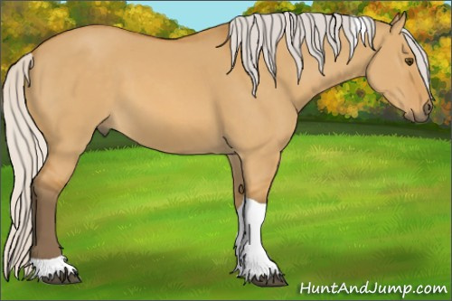 Horse Color: Silver Buckskin Dun Tobiano 