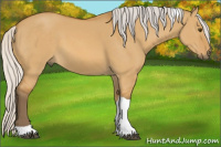 Horse Color:Silver Buckskin Dun Tobiano
