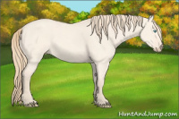 Horse Color:Perlino Dun 
