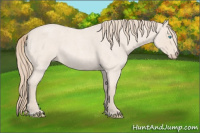 Horse Color:Perlino Roan 
