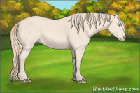 Horse Color:Perlino 