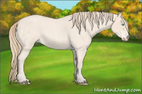 Horse Color:Perlino Roan 