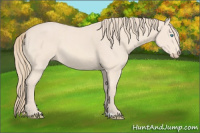 Horse Color:Perlino 