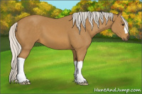 Horse Color:Silver Buckskin 