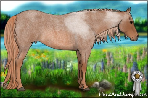 Horse Color: Red Roan 