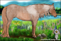Horse Color:Red Roan