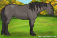 Horse Color:Smoky Grullo