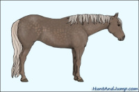 Horse Color:Silver Black 