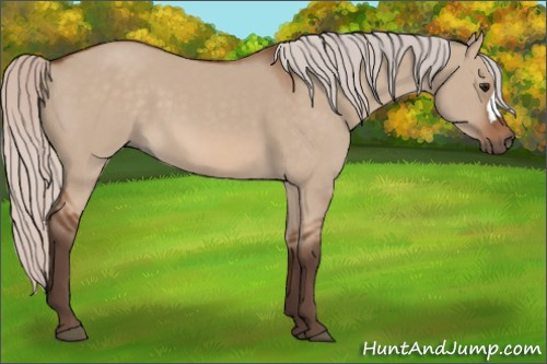 Horse Color: Silver Bay Dun 
