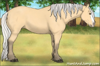 Horse Color:Silver Buckskin Sabino Splash