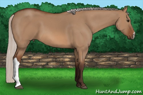 Horse Color: Silver Bay Dun 