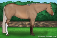 Horse Color:Silver Bay Dun