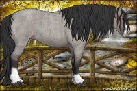 Horse Color:Grullo Roan Splash Frame 