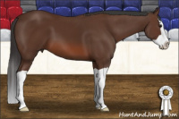 Horse Color:Bay Splash 