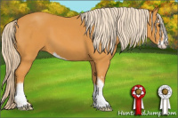 Horse Color:Palomino Sabino 