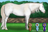 Horse Color:White Spotted Perlino Dun Splash 