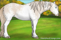 Horse Color:White Spotted Smoky Creme 