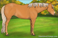 Horse Color:Chocolate Palomino Frame 