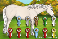 Horse Color:Cremello Splash