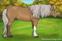 Horse Color:Silver Buckskin 
