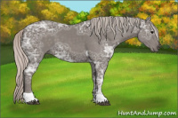 Horse Color:Silver Black Ice Sabino Tobiano