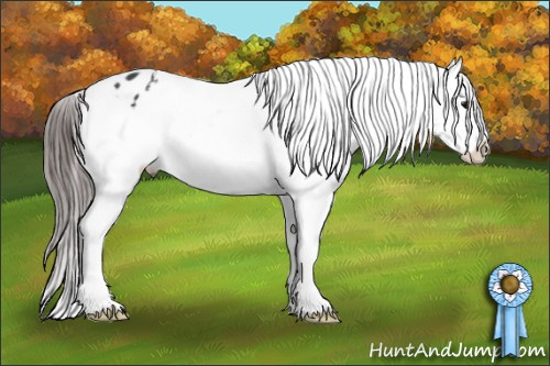 Horse Color: Black Sabino Blanket 