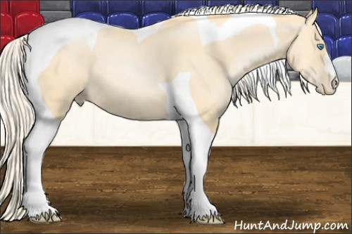 Horse Color: Palomino Pearl Tobiano 