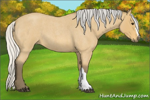 Horse Color: Silver Buckskin Roan 