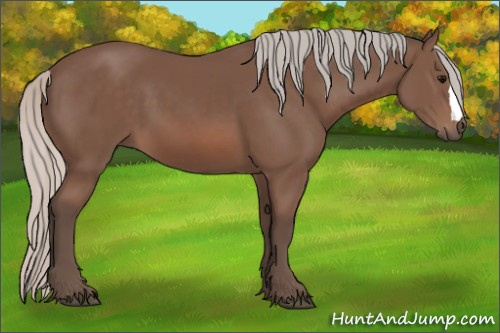 Horse Color: Silver Black 