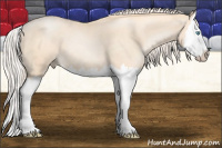 Horse Color:Gold Cream Champagne Roan Pearl Splash
