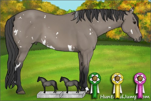 Horse Color: White Spotted Grullo 