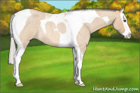 Horse Color:Silver Bay Roan Dun Splash Tobiano