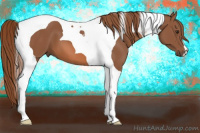 Horse Color:Chestnut Tobiano