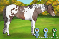Horse Color:Bay Tobiano Blanket 