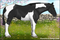 Horse Color:Gray Black Tobiano 