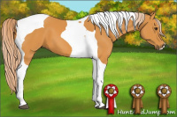 Horse Color:Chocolate Palomino Tobiano 