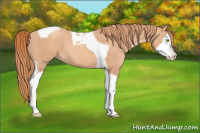Horse Color:Gold Champagne Splash Tobiano 