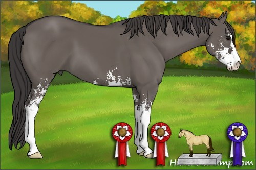 Horse Color: Smoky Grullo Sabino 